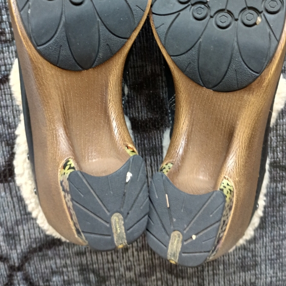 Jambu Holland - Picture 6 of 8